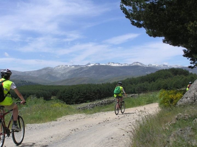  with the bicycles 